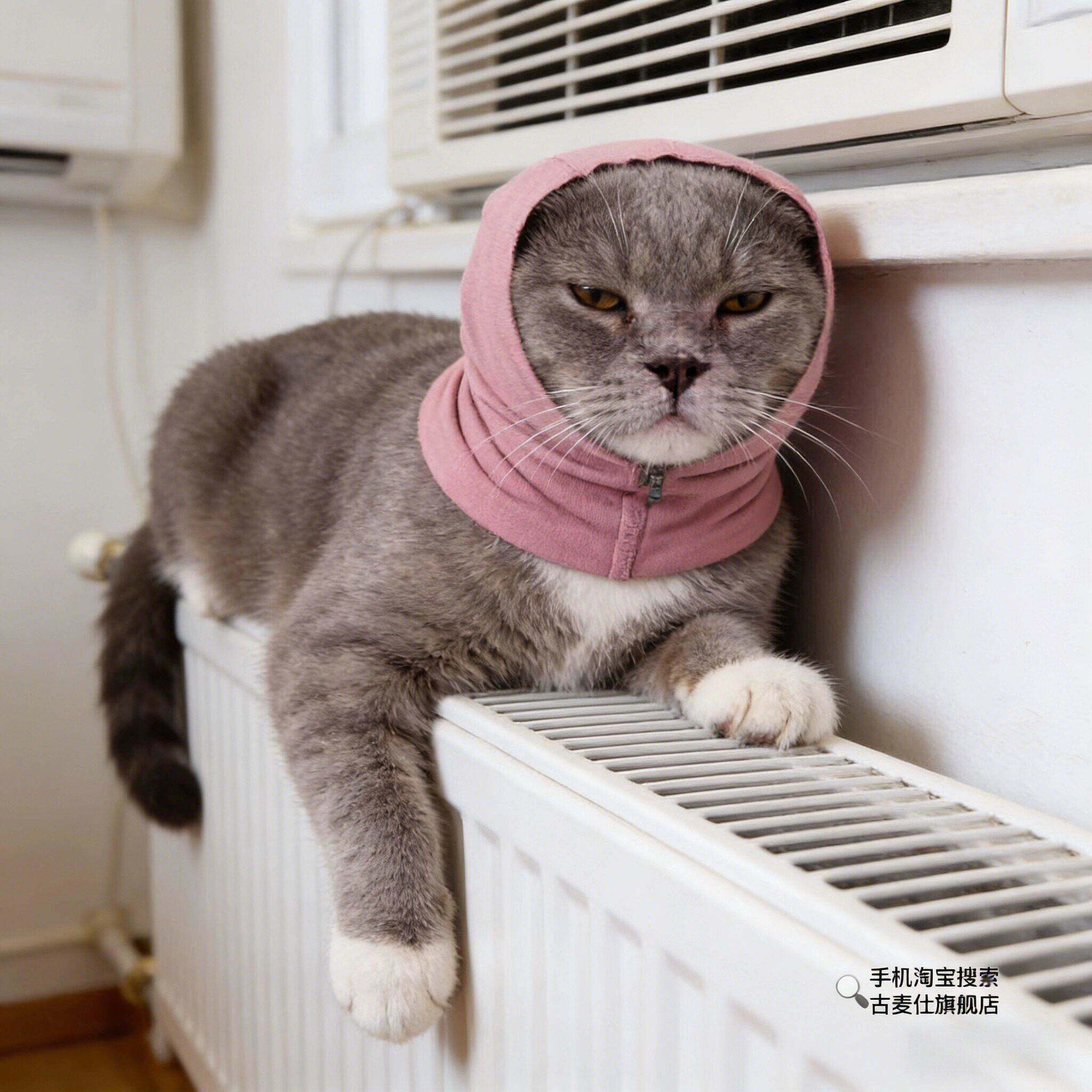 狗狗安抚头套耳罩猫咪防应激防抓咬洗澡剪毛宠物隔音保护罩神器