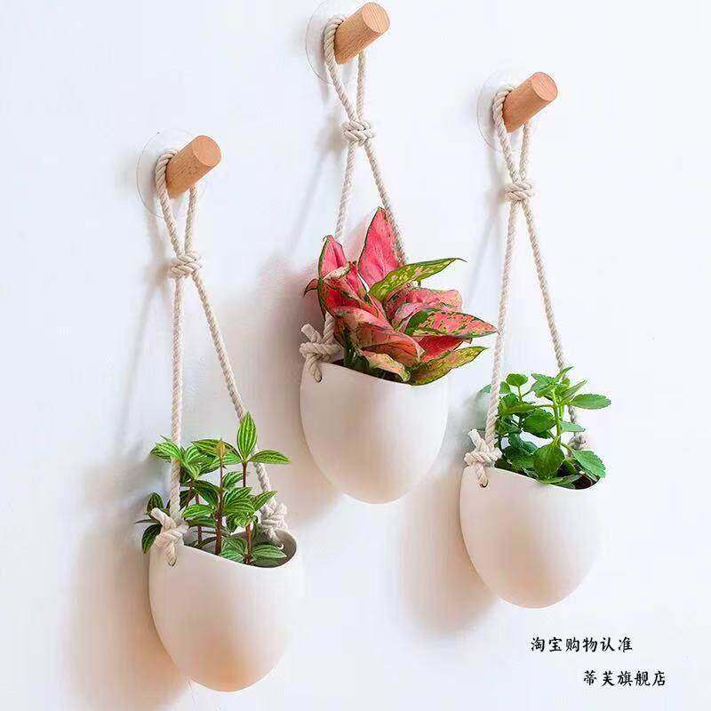 吊篮花盆白色墙上轻奢壁挂花盆免打孔水培绿植创意装饰吊盆悬挂式