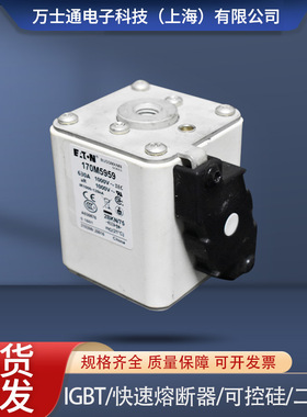 170M5952/5953/5954/5955/5956/5957/595/5959/5960/5961熔断器