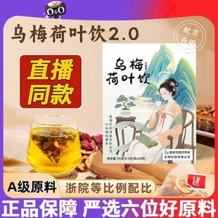 刮油官方正品 升級省養生茶中正品 烏梅湯2.0烏梅荷葉飲茶包浙江版