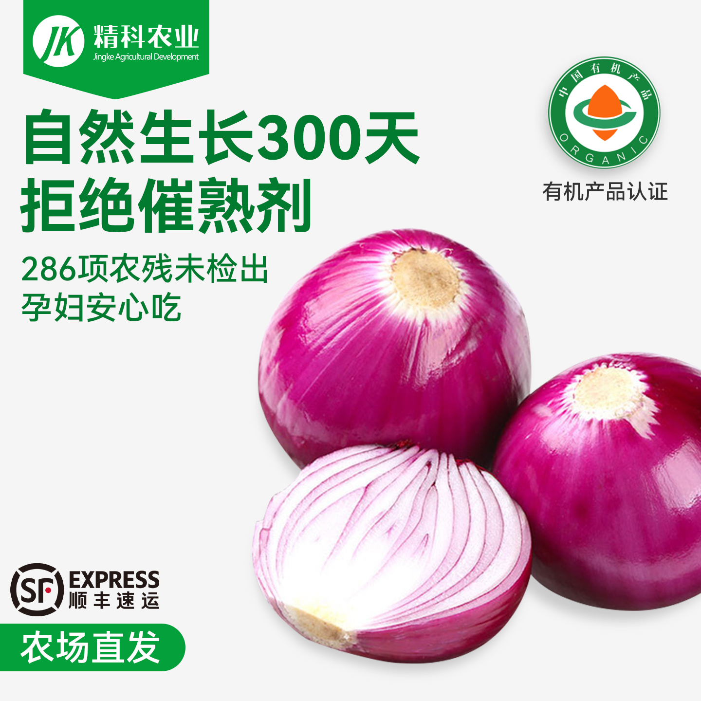 精科紫洋葱纯天然自然熟当季有机紫红洋葱新鲜蔬菜现挖现发红葱头