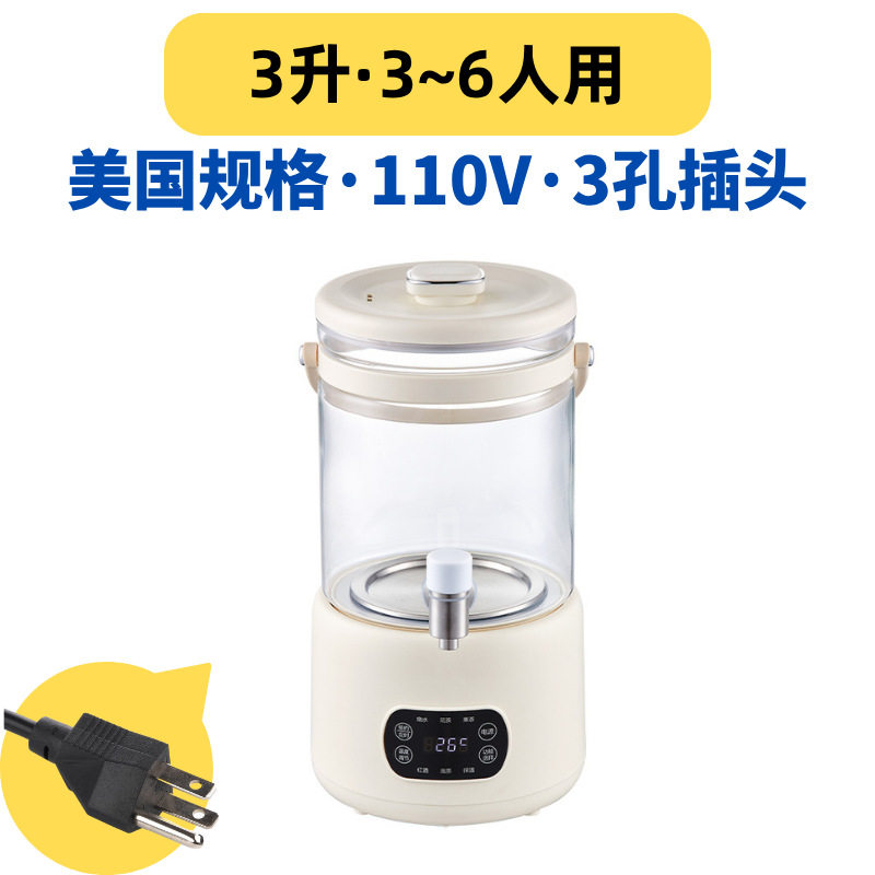 养生壶家用3升大容量电热烧水壶煮茶器花茶桶带出水口110V