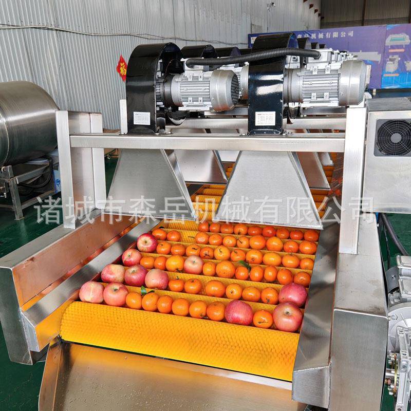 陈皮柑橘橙子蜜柚清洗抛光机分选机304不锈钢水果清洗风干一体机