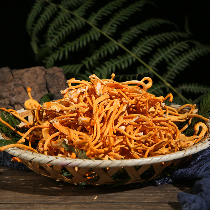 云南新鲜虫草花  500g袋装排草火锅煲汤食材产地虫草花