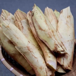 云南棕包新鲜正宗棕笋棕贝棕花苞包米棕树特产棕榈带壳棕包米包邮