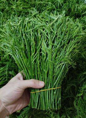 云南德宏新鲜蔬菜帕哈合金欢臭菜傣族绿叶宴帕哈250克泰国生吃