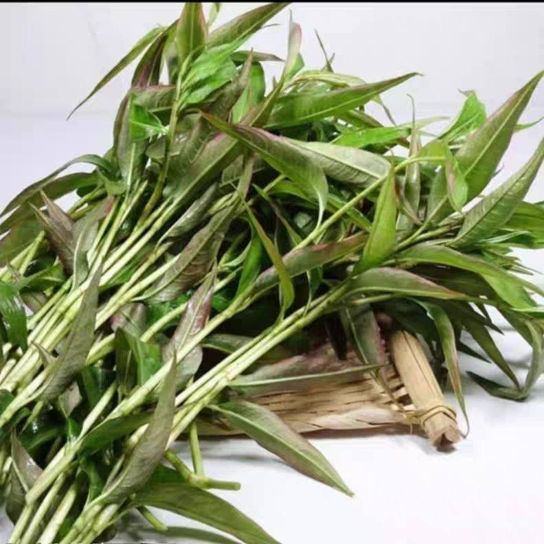 云南德宏特产新鲜香蓼柳 香柳菜辣蓼草 芳香扑鼻 煮鱼撒撇凉拌