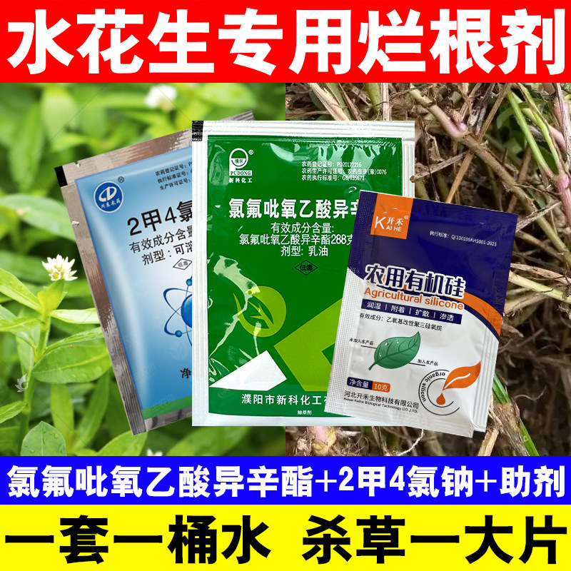 水花生专用烂根剂水花生专杀套装空心莲子草灭草剂死草烂根正品药