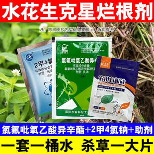 水花生克星烂根剂水花生专杀套装空心莲子草灭草剂死草烂根正品药
