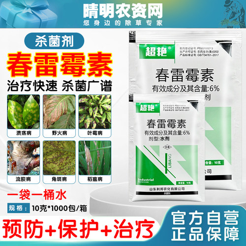 6%春雷霉素 水稻稻瘟病角斑病白菜软腐病穿孔春蕾霉素农药杀菌剂