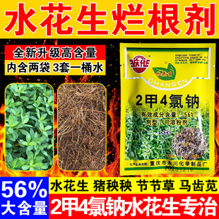 庆化水花生专用药水花生克星56%2甲4氯钠除草剂革命草空心连子草