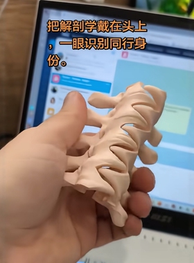 脊骨抓夹3D打印创意暗黑视觉系骨架后脑勺夹子女生个性创意鲨鱼夹