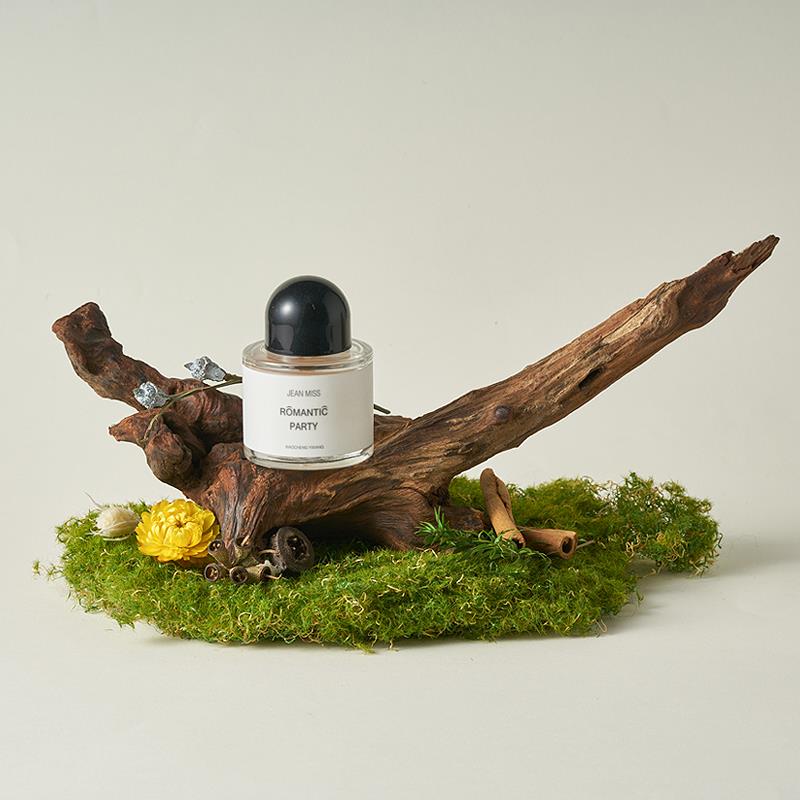 天然沉木拍照道具 枯木造景树枝木头装饰ins静物摄影陈列摆件干花