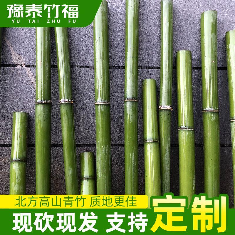 现砍新鲜高山青竹子竹筒竹竿花艺婚庆装饰户外桌面摆件绿色短竹段