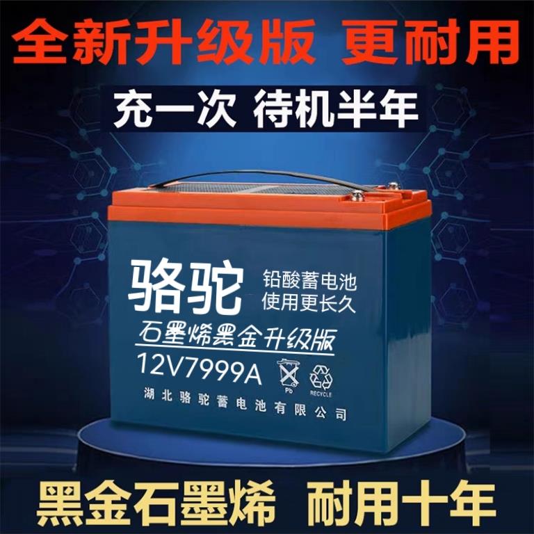 12V电瓶30-120安石墨烯干 干电瓶夜市摆摊灯箱专用骆驼铅酸蓄电池