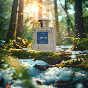 Noseway 半夕之间香水东京愈创木10平替小众试香小样