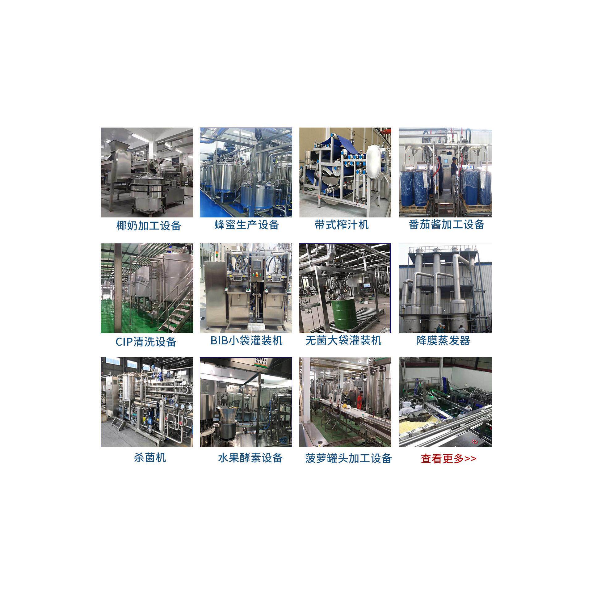 鳄梨牛油果泥果酱果油提取加工生产线设备机械