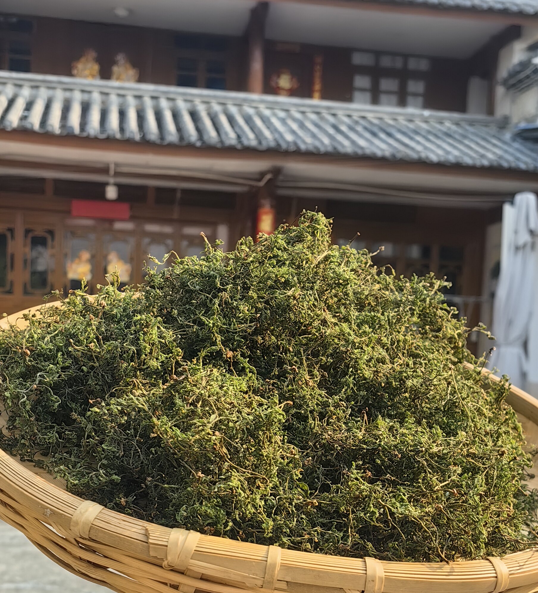 云南高黎贡山雪芽-2026年新货明前春芽-养生春茶回甘足-3个高好使