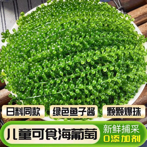 央妈推荐0添加新鲜儿童海葡萄