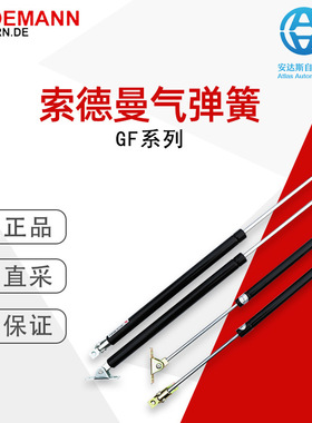 Sodemann索德曼气弹簧GF系列