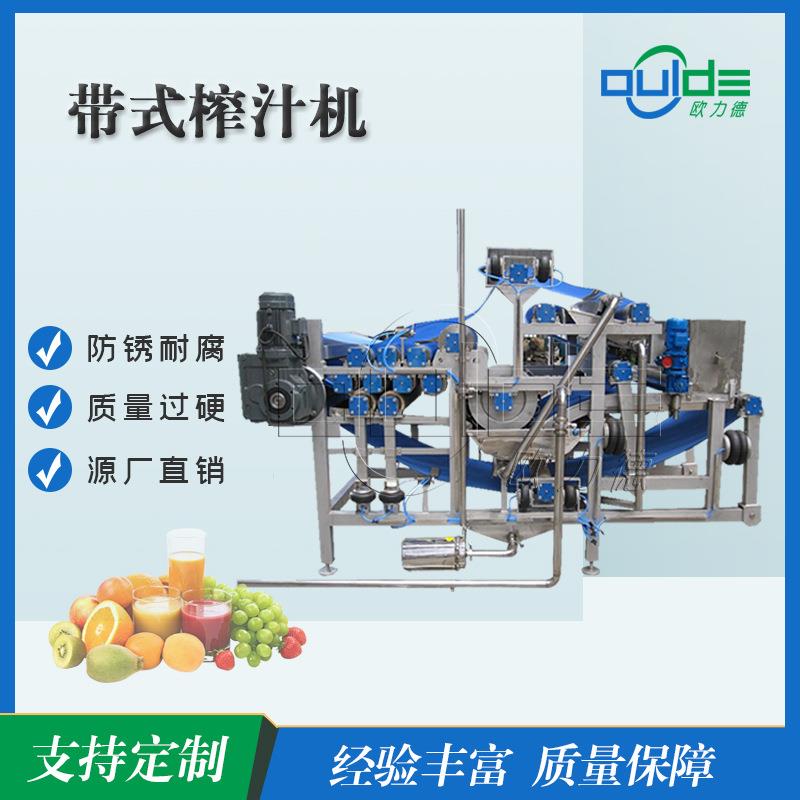 厂家直销DYJ系列大型工业皮带带式榨汁机蔬菜水果全自动脱水压榨