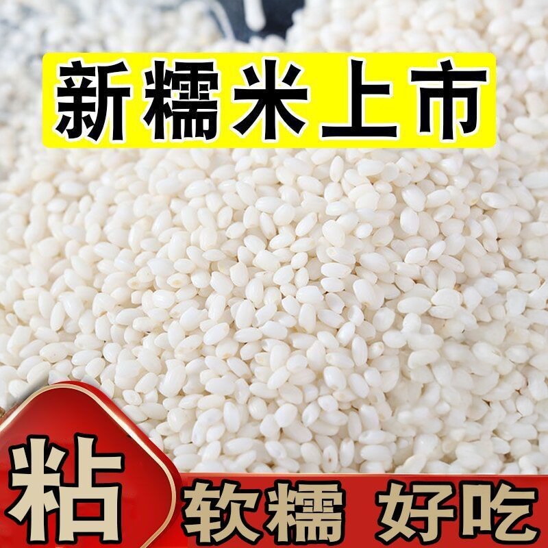 【糯米特价】东北圆粒糯米5斤江米酿酒粽子米饭团糍粑批发1斤
