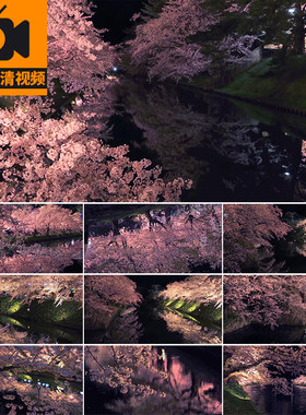 4K夜晚盛开樱花唯美风景湖面倒影夜景浪漫樱花树实拍高清视频素材