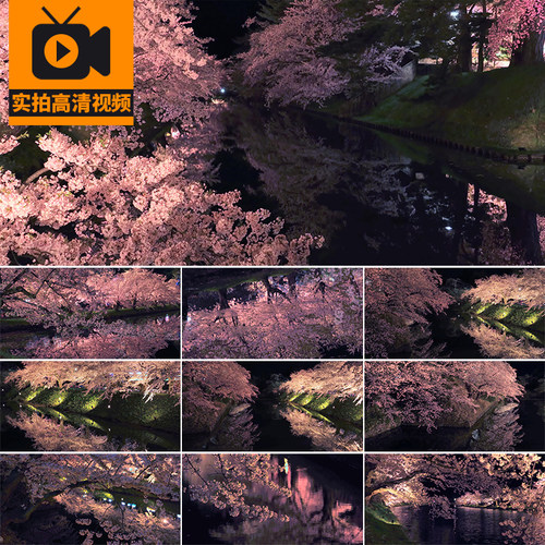 4K夜晚盛开樱花唯美风景湖面倒影夜景浪漫樱花树实拍高清视频素材
