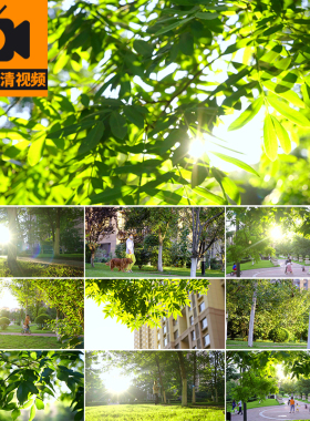 清新绿色绿叶唯美光影夏日阳光透过树叶小区生活业主休闲视频素材