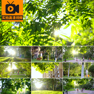 清新绿色绿叶唯美光影夏日阳光透过树叶小区生活业主休闲视频素材
