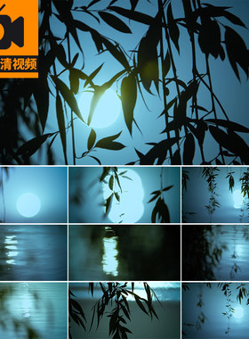 夜色诗意月下湖面倒影意境月上柳梢月亮满月月光月亮实拍视频素材