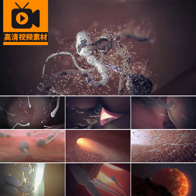 男女精子与卵子结合游动受精卵生命孕育人体医学动画高清视频素材