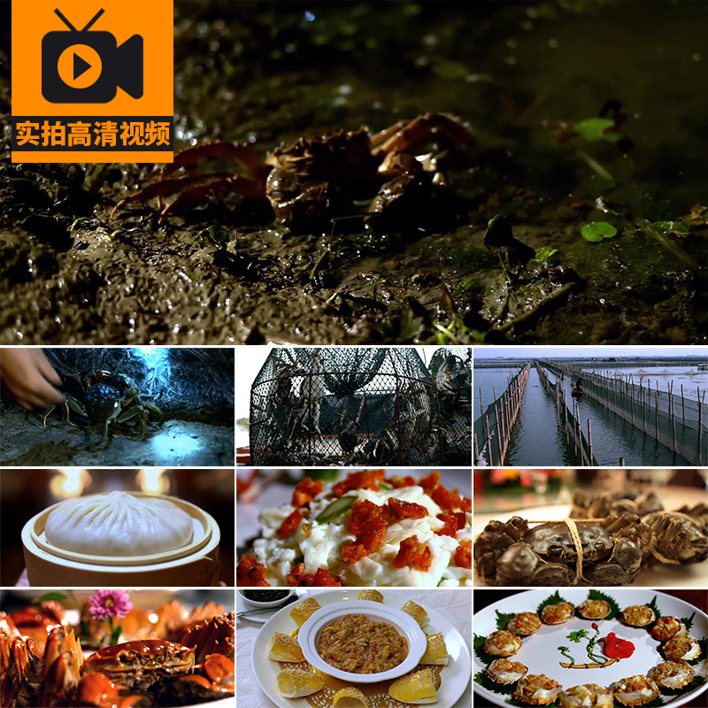 大闸蟹螃蟹水产养殖捕捞蟹膏做菜蟹黄汤包子美食烹饪清蒸视频素材