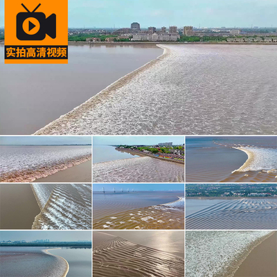 浙江杭州钱塘江大潮涨潮退潮涌动航拍潮汐树大海潮水奔腾视频素材