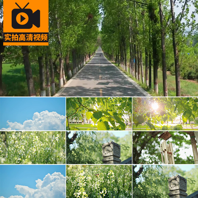 夏日炎热天气高温三伏天空镜头风景夏天阳光照射夏至实拍视频素材
