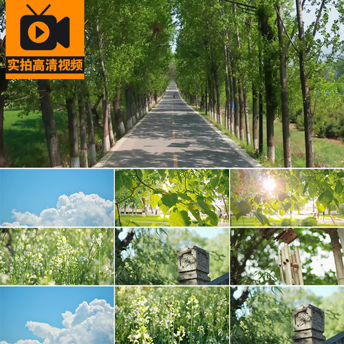 夏日炎热天气高温三伏天空镜头风景夏天阳光照射夏至实拍视频素材