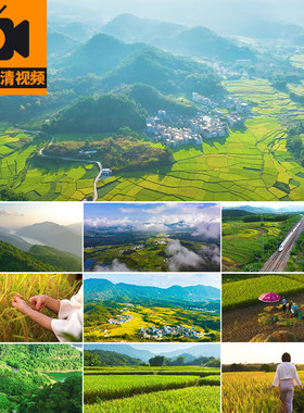 美丽乡村振兴生态农业风光绿水青山新农村庄田野实拍高清视频素材