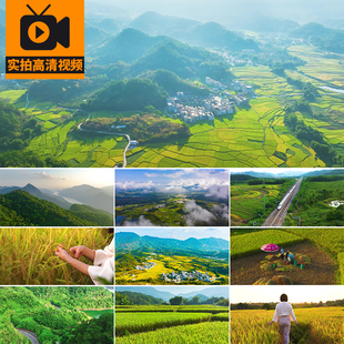 美丽乡村振兴生态农业风光绿水青山新农村庄田野实拍高清视频素材