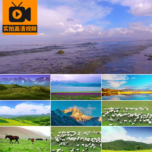 青海青藏高原草原风光羊群骏马湖光山色雪山日照金山实拍视频素材