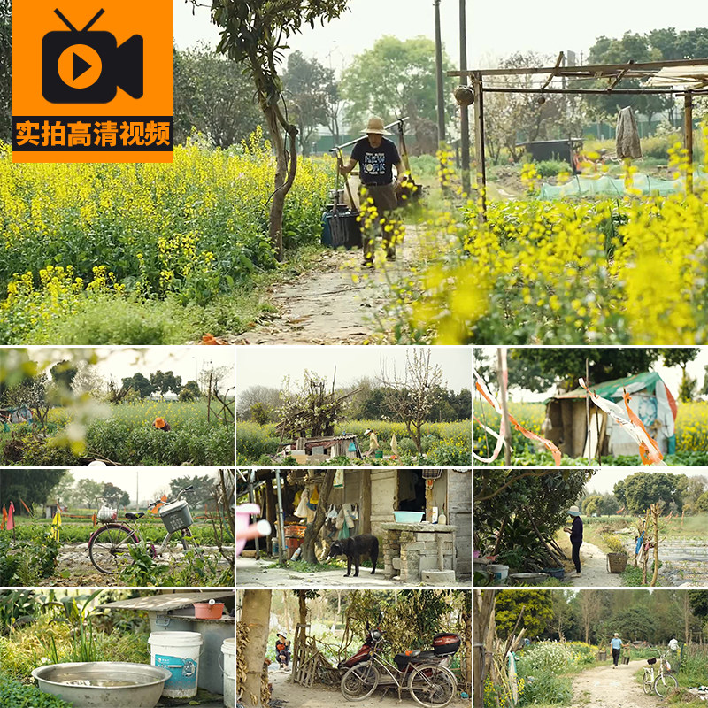 农民夏日生活环境菜园农田地风景色农村农家小院乡村实拍视频素材