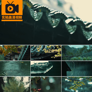 烟雨江南屋檐雨滴落禅意境古风禅心寺庙下雨天谷雨景实拍视频素材