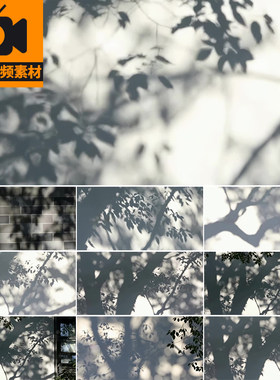 白色墙面阳光照射树影禅意写意唯美空境光影治愈风景实拍视频素材