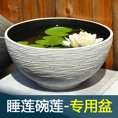 盆缸白色一叶莲水培睡莲铜钱草特大号碗莲盆加厚简约北欧荷花塑料