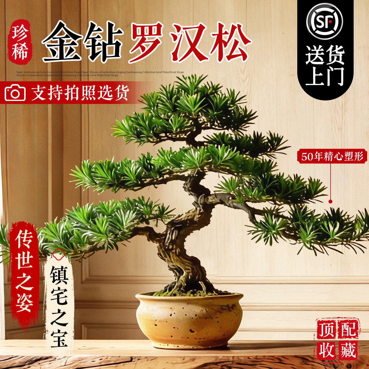 特大造型罗汉松老桩盆景迎客松