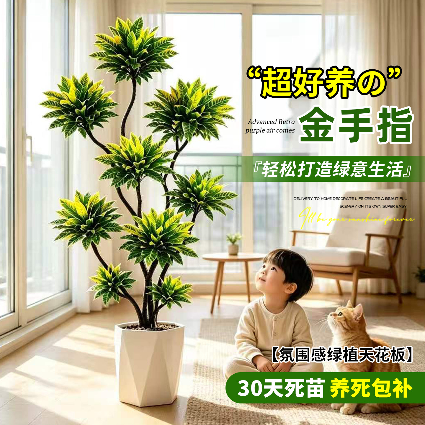 客厅绿植金手指盆栽高级感室内大型盆栽轻奢四季好养绿植物洒金榕