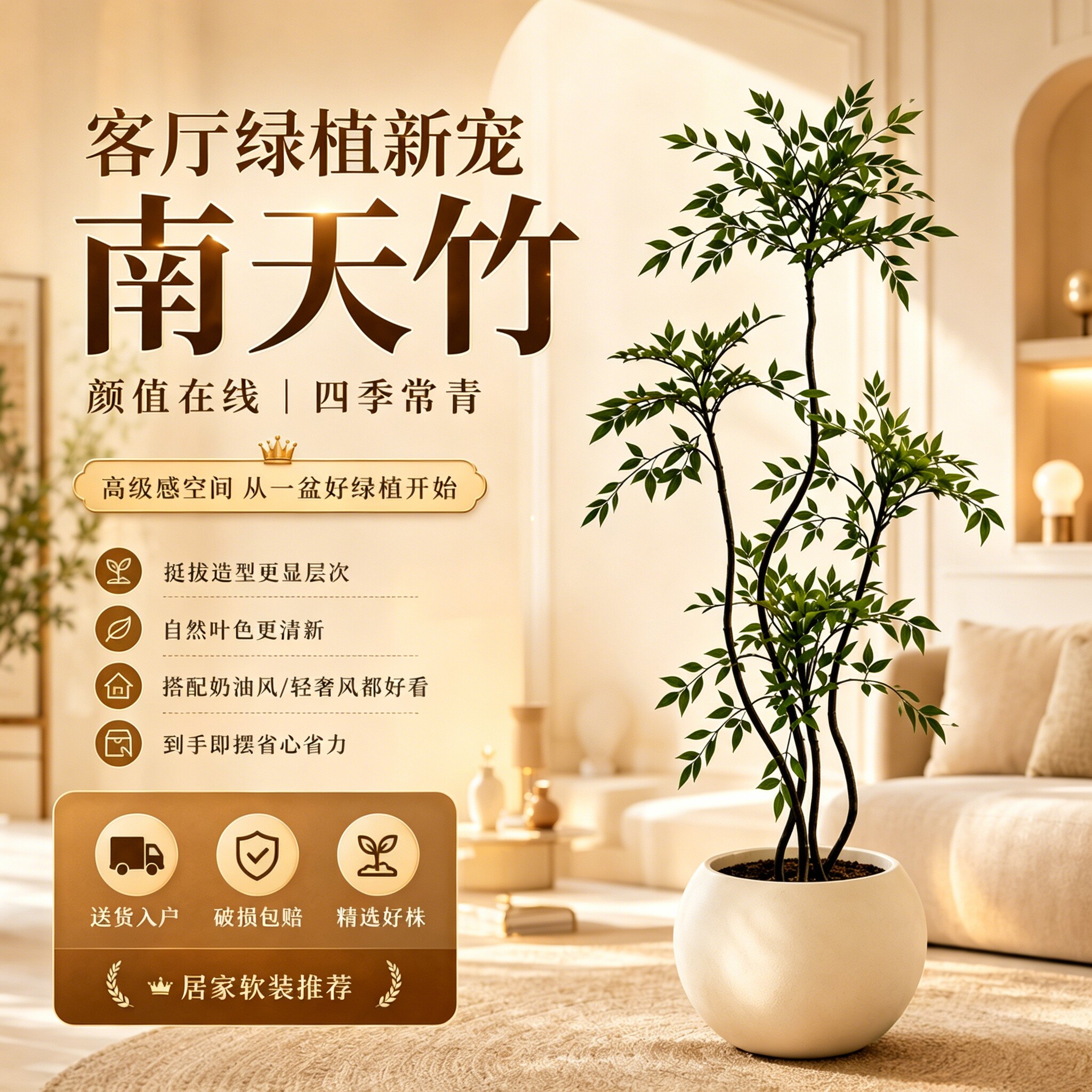 客厅办公室内大型植物盆栽南天竹