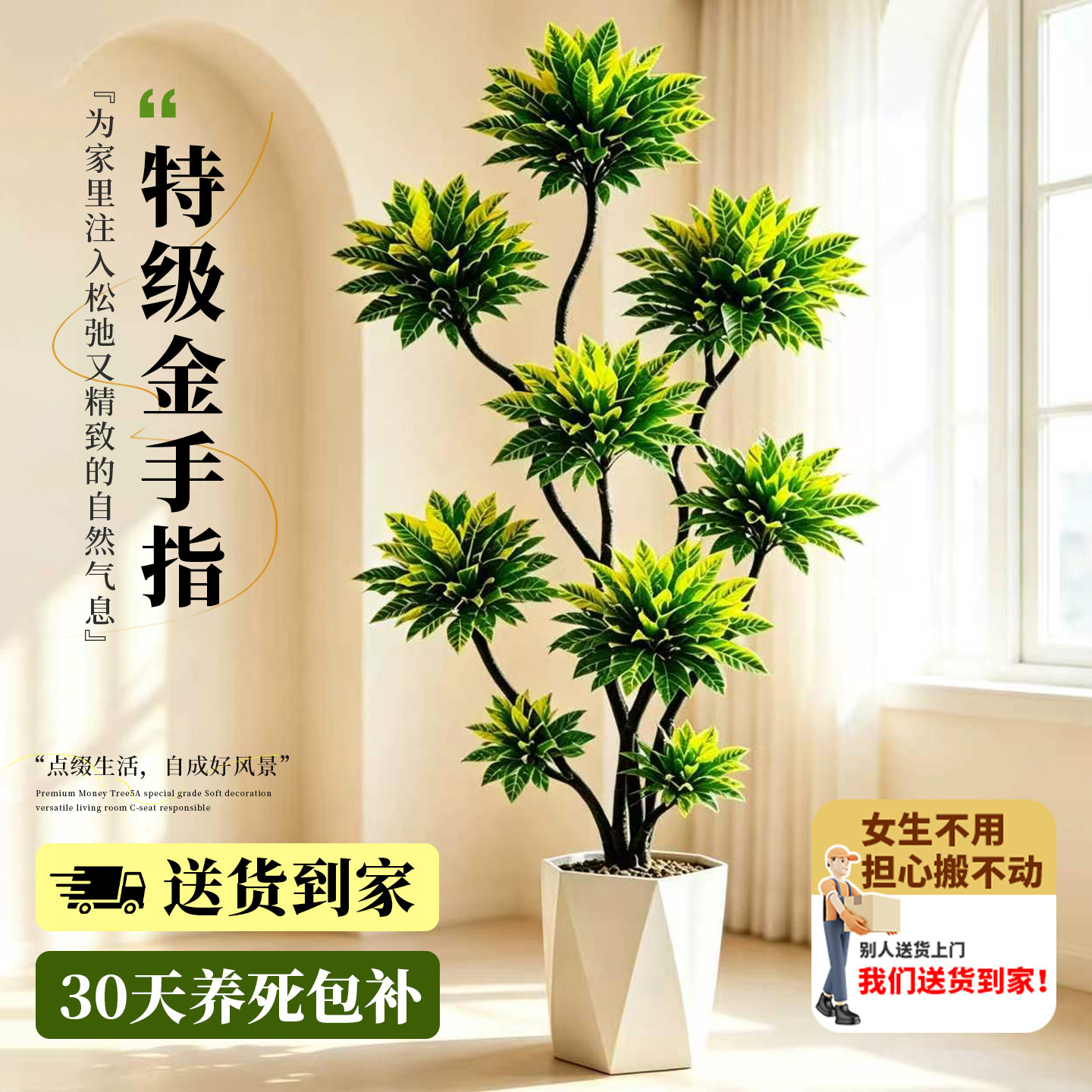 金手指客厅绿植高级感室内大型盆栽轻奢四季好养高端招财树洒金榕
