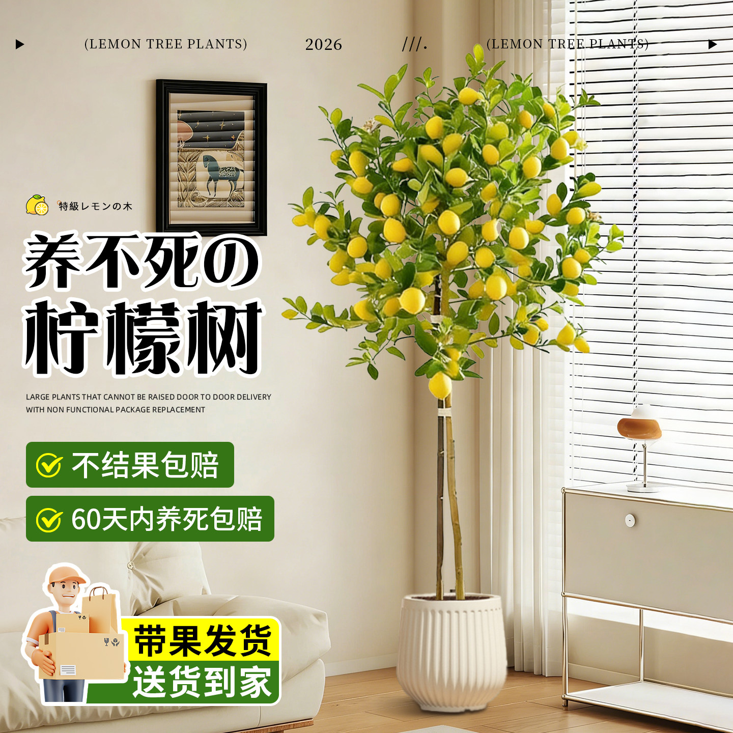 香水柠檬树客厅绿植盆栽带果大型室内办公室老桩盆景高级感植物