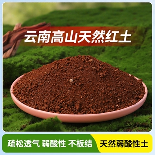 云南高原营养土酸性红土小颗粒天然红泥土茉莉专用茶花桂花兰花