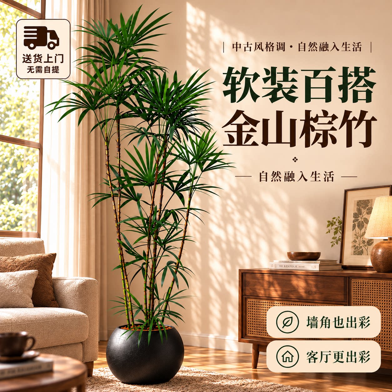 【特级精品】金山棕竹客厅绿植